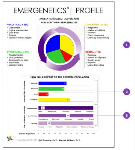 emergenetics profile report example image